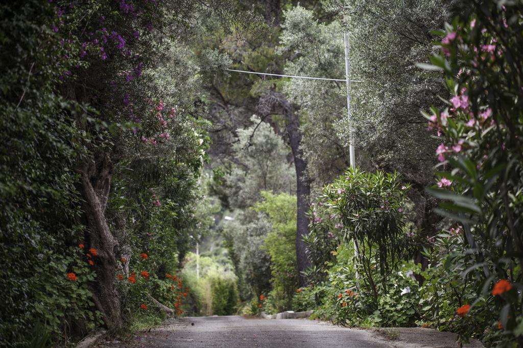 Florida Blue Bay Resort & Spa Psathópirgos Dış mekan fotoğraf